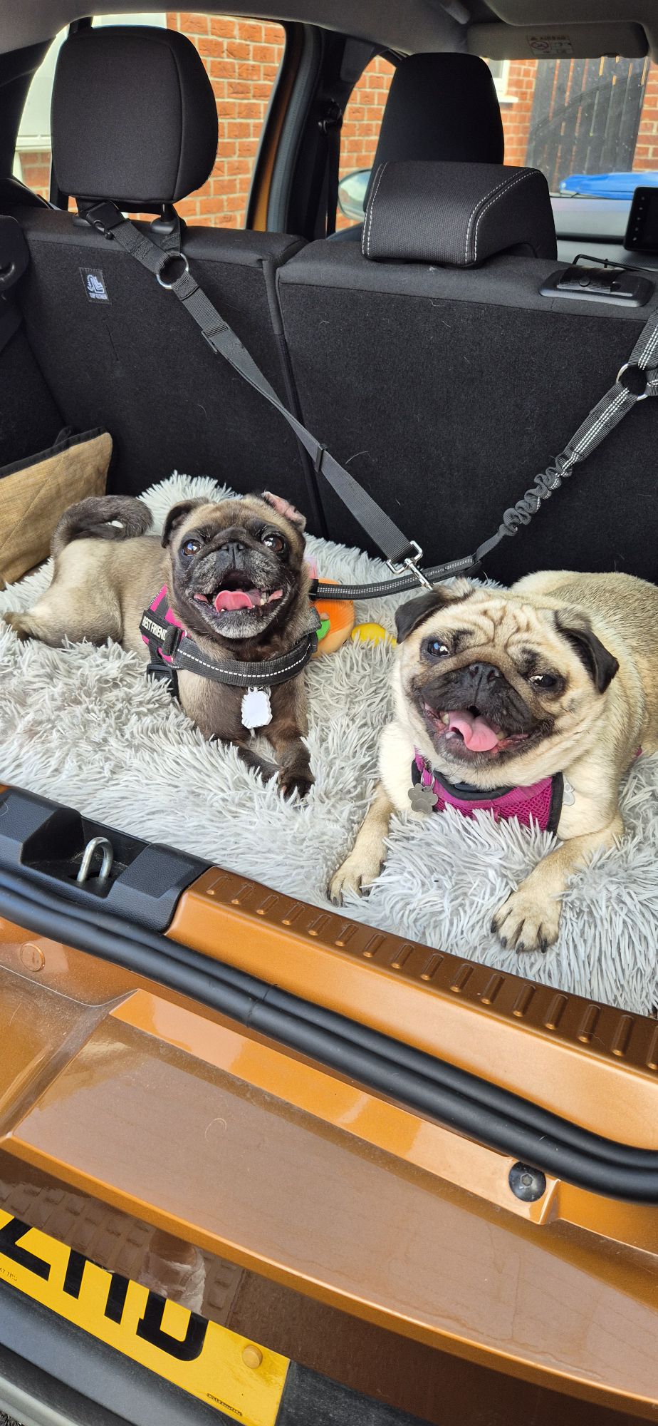 Lola and Mabel smiling before they set off on an adventure