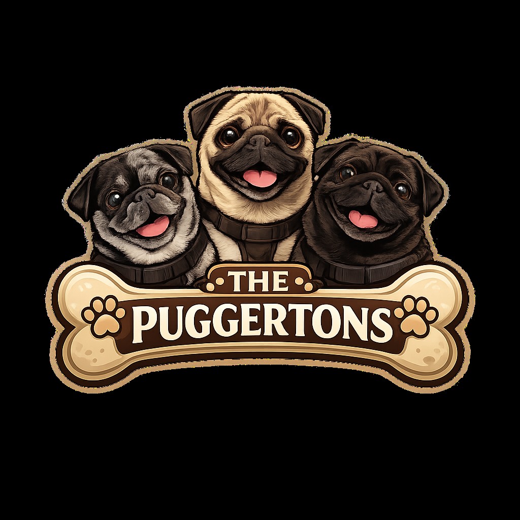 🐾Meet The Puggertons©️